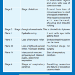 Stages Of Anesthesia