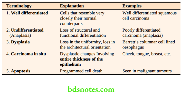 Swelling Examination Flowchart