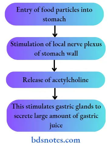 Entry of food particles into stomach