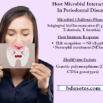 Host Microbe Interaction Periodontitis Pathogenesis