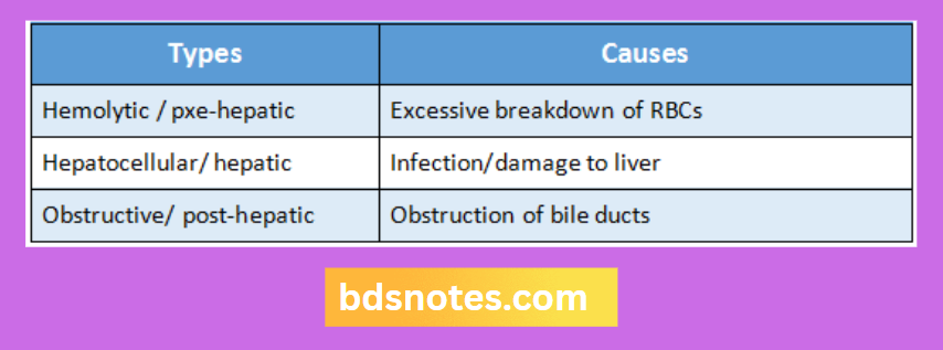 Jaundice Types And Their Causes