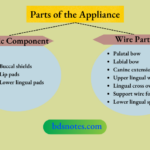 Parts of the Appliance