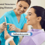 Periodontal Structures In Aging Humans