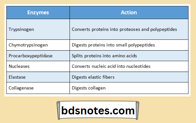 Proteolytic Enzymes And Their Actions