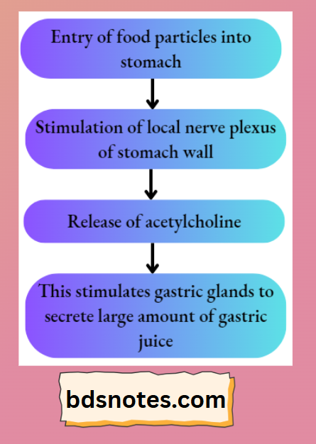 Stimulation Of Gastric Glands