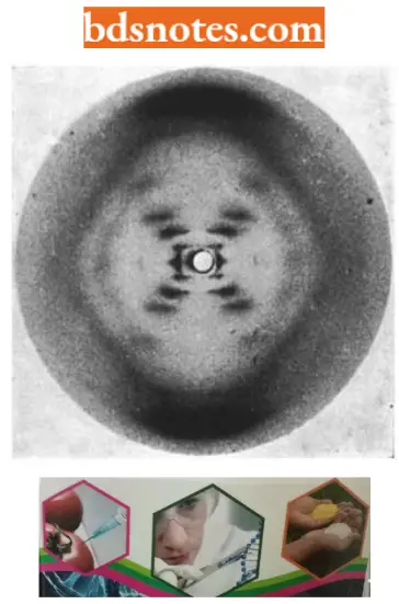 Chemical Nature Of The Genetic Materials Franklins Original X Ray Diffraction Photograph