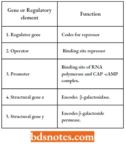 Gene Of Regulatory Element And Function