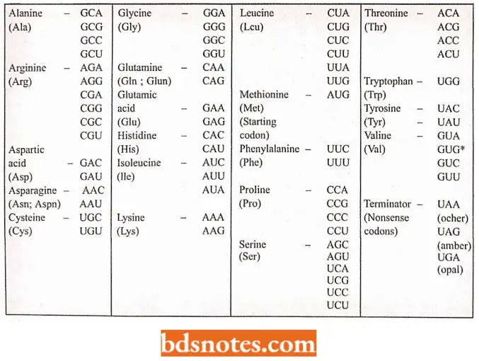 Genetic Code Amino Acids And Their Messenger RNA Codons