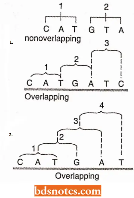Genetic Code Non Overlapping Codons