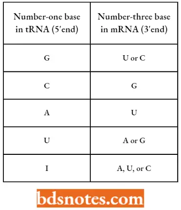 Genetic Code Pairing Combinations At The Third Codon Position