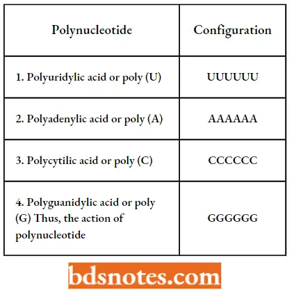 Genetic Code Polynucleotide And Configuration
