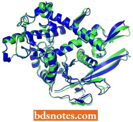 Post Translational Processing Of Proteins Protein Folding