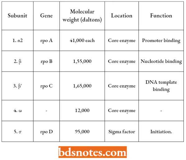 Transcription Some Basic Characteristics Of Different Subunits