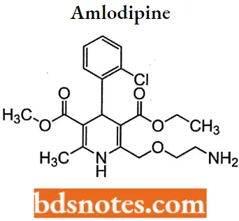 Antianginal Drugs Amlodipine