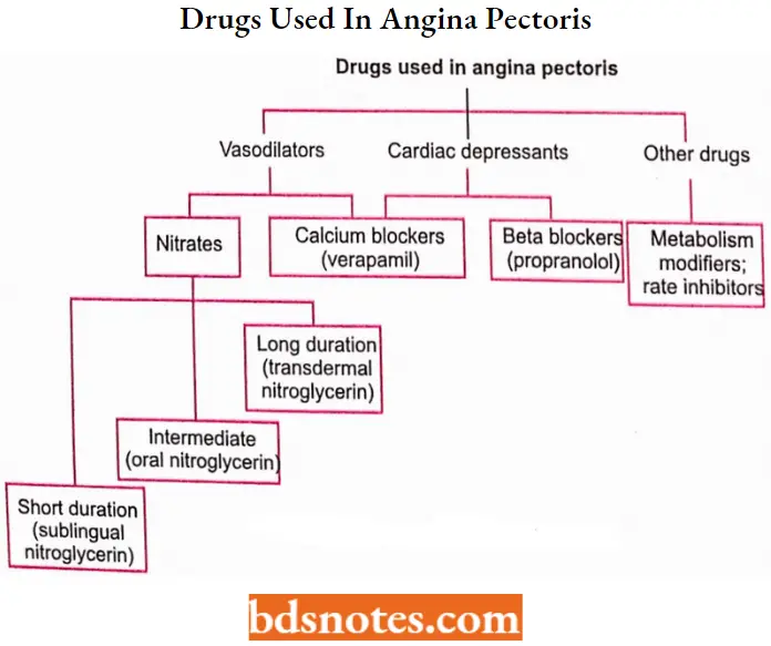 Antianginal Drugs Drugs Used In Angina Pectoris