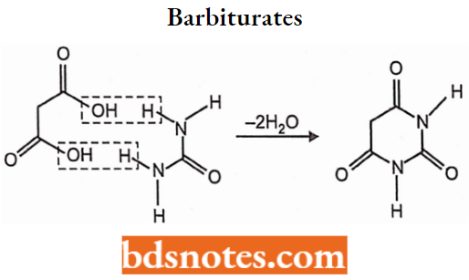Anticonvulsants Barbiturates