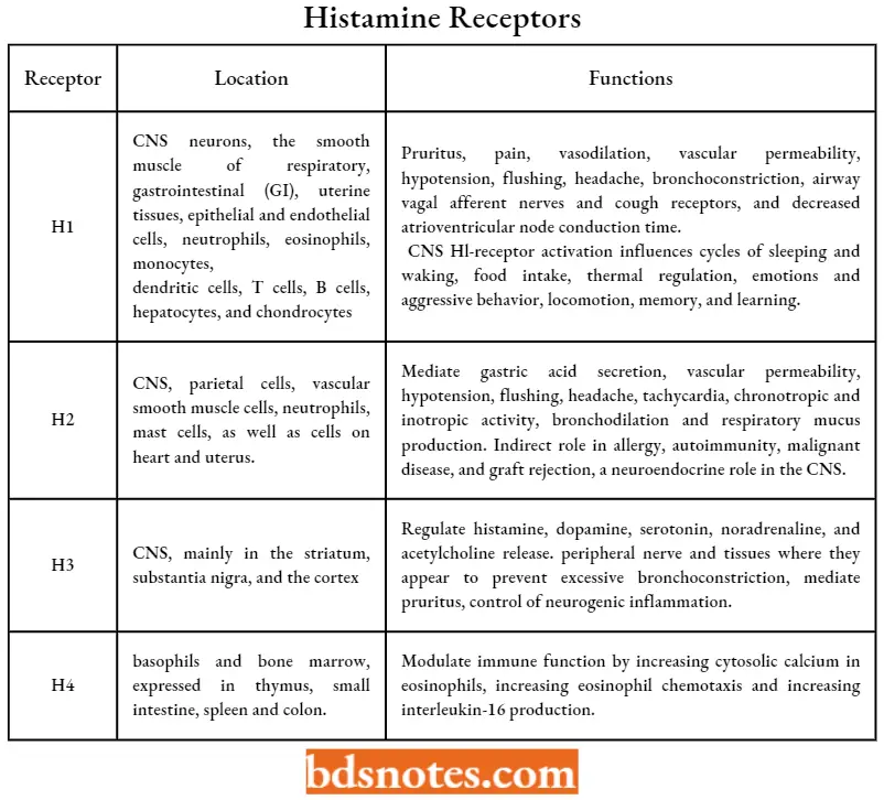 Antihistamine Agents Histamine Receptors