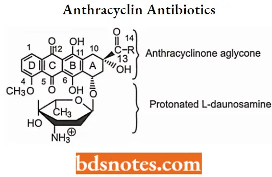 Antineoplastic Drugs Anthracyclin Antibiotics