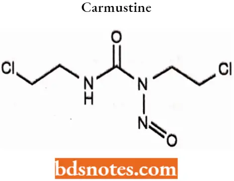 Antineoplastic Drugs Carmustine