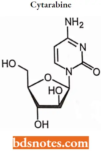 Antineoplastic Drugs Cytarabine