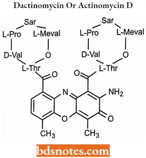 Antineoplastic Drugs Dactinomycin Or Actinomycin D