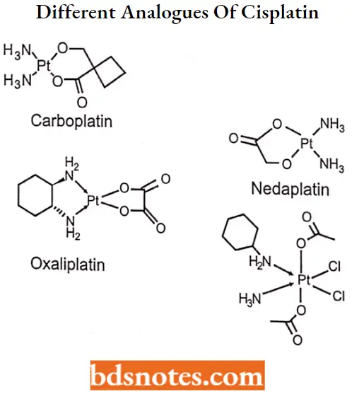 Antineoplastic Drugs Different Analogues Of Cisplatin