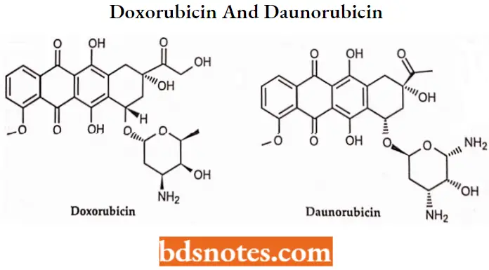 Antineoplastic Drugs Doxorubicin And Daunorubicin