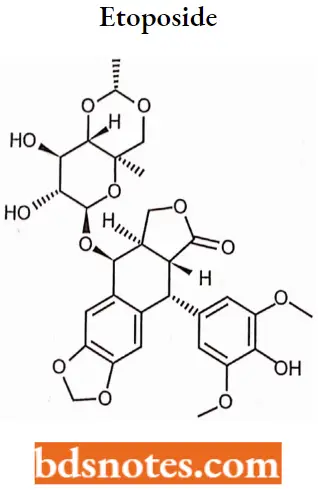 Antineoplastic Drugs Etoposide