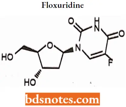 Antineoplastic Drugs Floxuridine