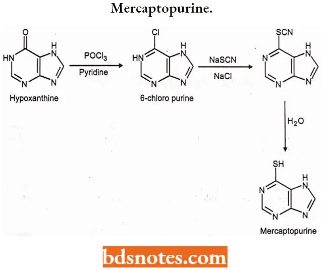 Antineoplastic Drugs Mercaptopurine.