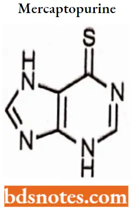 Antineoplastic Drugs Mercaptopurine