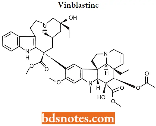 Antineoplastic Drugs Vinblastine