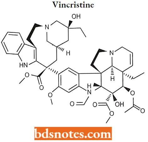 Antineoplastic Drugs Vincristine