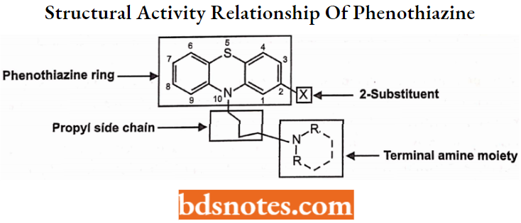 Antipsychotics Structural Activity Relationship Of Phenothiazine