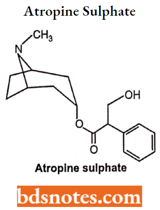 Cholinergic Drugs And Related Agents Atropine Sulphate