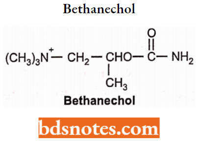 Cholinergic Drugs And Related Agents Bethanechol