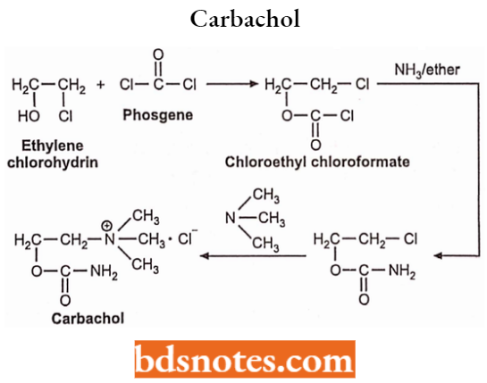 Cholinergic Drugs And Related Agents Carbachol