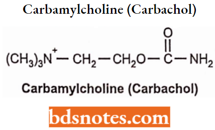 Cholinergic Drugs And Related Agents Carbamylcholine (Carbachol)