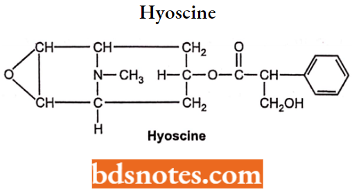 Cholinergic Drugs And Related Agents Hyoscine