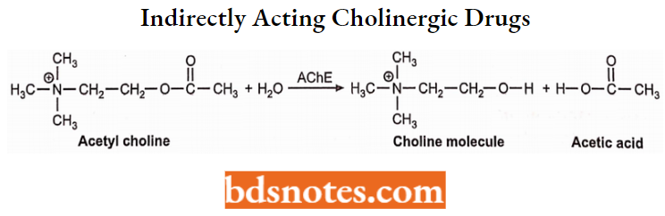 Cholinergic Drugs And Related Agents Indirectly Acting Cholinergic Drugs