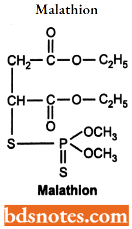 Cholinergic Drugs And Related Agents Malathion