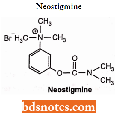 Cholinergic Drugs And Related Agents Neostigmine.