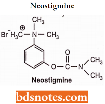 Cholinergic Drugs And Related Agents Neostigmine