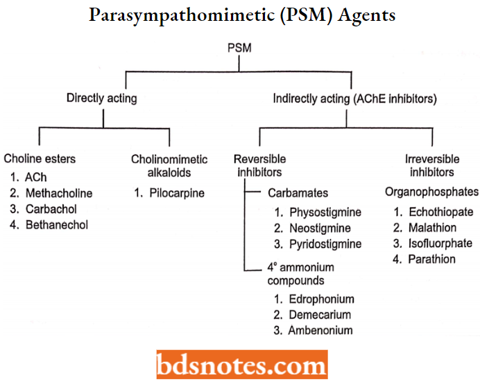 Cholinergic Drugs And Related Agents Parasympathomimetic (PSM) Agents