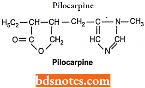 Cholinergic Drugs And Related Agents Pilocarpine