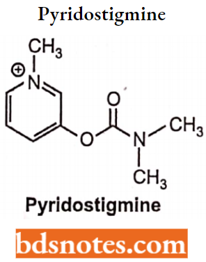 Cholinergic Drugs And Related Agents Pyridostigmine