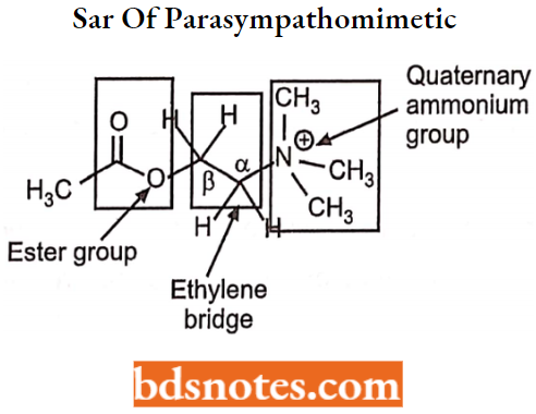 Cholinergic Drugs And Related Agents Sar Of Parasympathomimetic Or Cholinergic Agonist