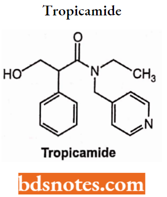 Cholinergic Drugs And Related Agents Tropicamide