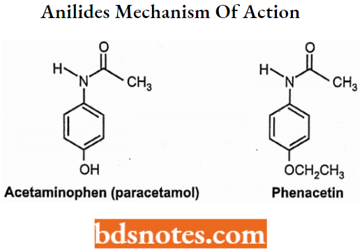 Drugs Acting On Central Nervous System Anilides Mechanism Of Action