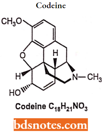 Drugs Acting On Central Nervous System Codeine